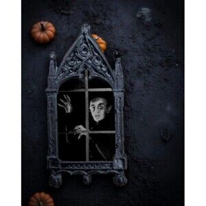 Nosferatu Magnet 1922 A Symphony of Horror Max Schreck Count Orlok Vampire